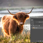 Afbeelding Vergroten Zonder Kwaliteitsverlies Online: Tips en Tools voor Perfecte Resultaten